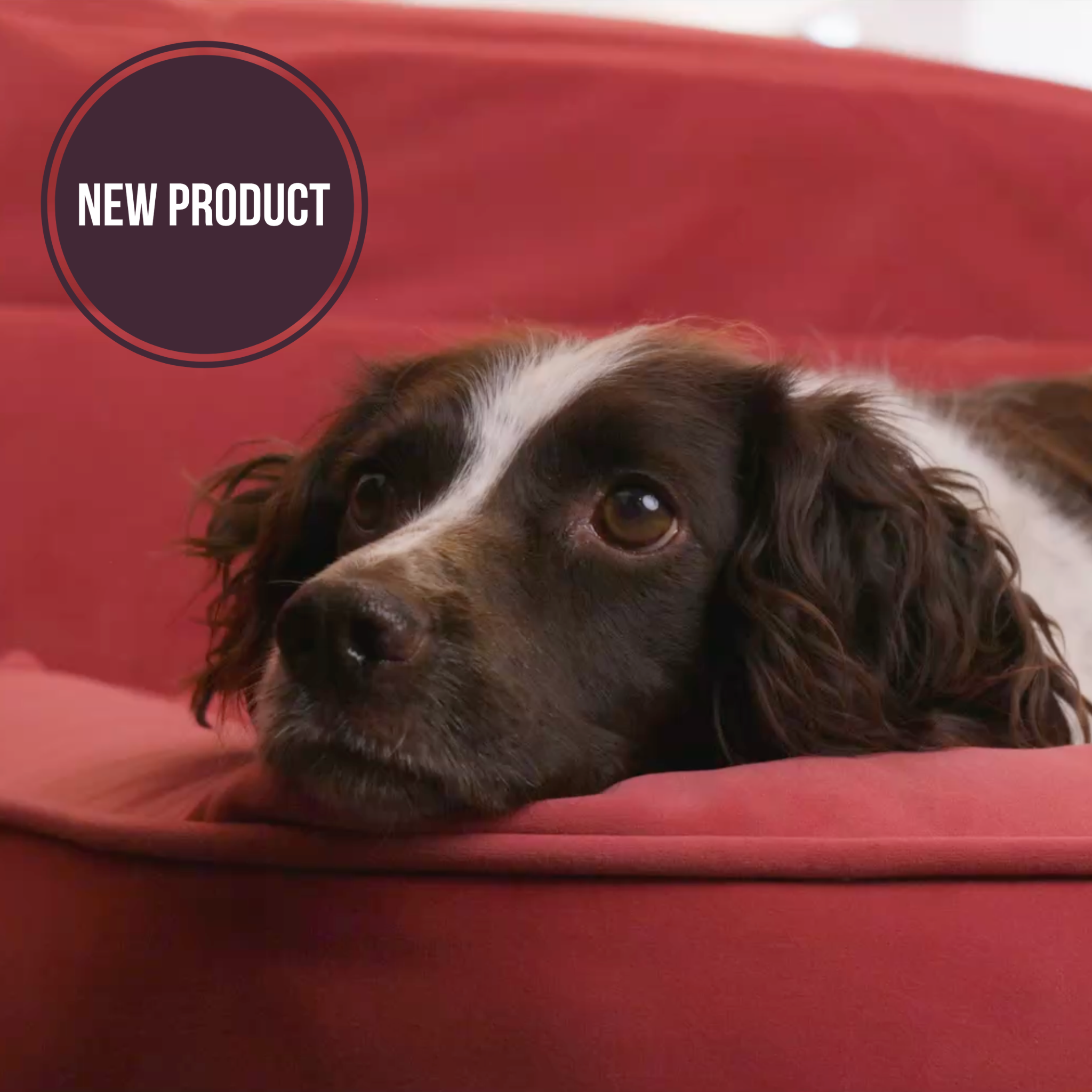 72cm x 72cm Pet Sleeper